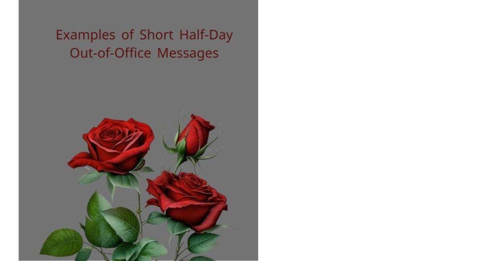 Examples of Short Half-Day Out-of-Office Messages