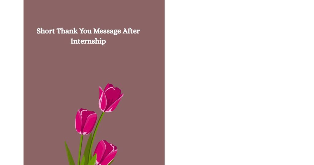Short Thank You Message After Internship