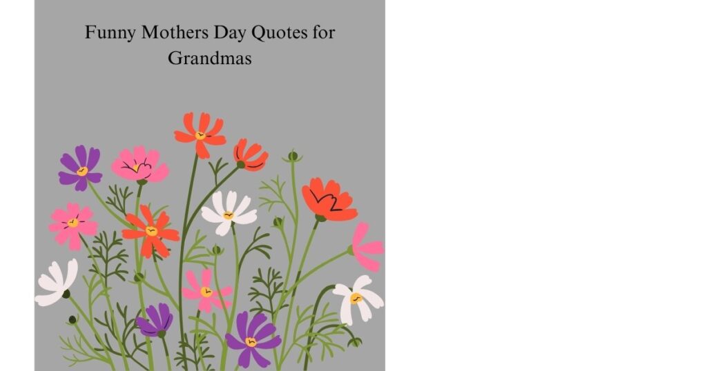 Funny Mothers Day Quotes for Grandmas
