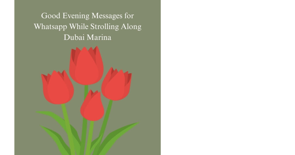 Good Evening Messages for Whatsapp While Strolling Along Dubai Marina