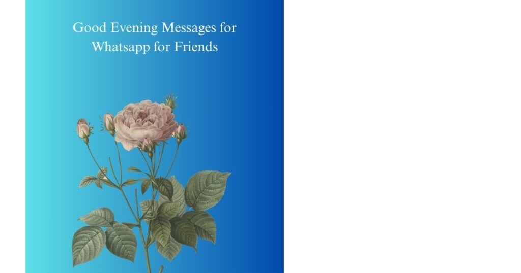 Good Evening Messages for Whatsapp for Friends