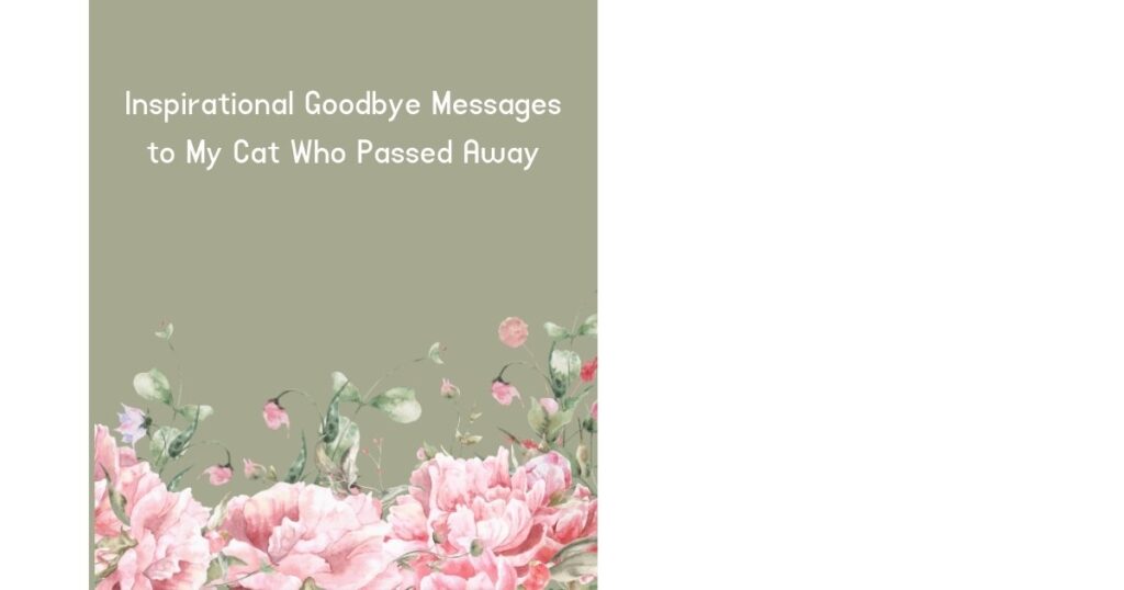 Inspirational Goodbye Messages to My Cat Who Passed Away