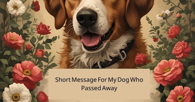 Short Message For My Dog Who Passed Away