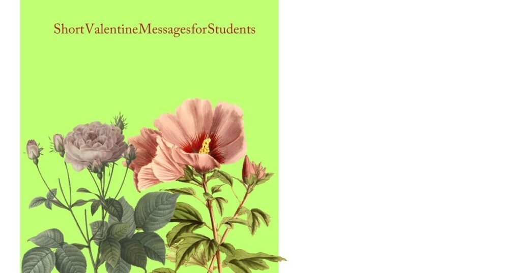 Short Valentine Messages for Students