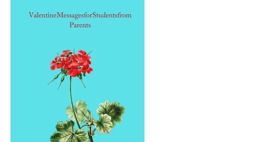 Valentine Messages for Students from Parents