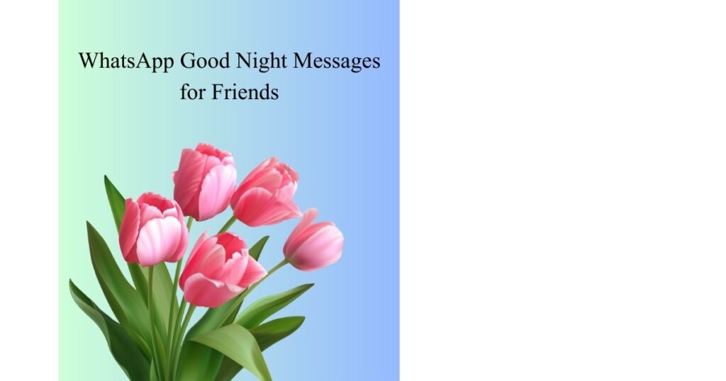 WhatsApp Good Night Messages for Friends