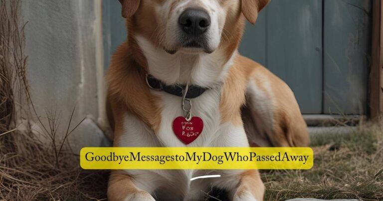 Goodbye Messages to My Dog Who Passed Away
